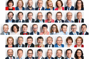 collage_41_bundestagskandidaten-900x600